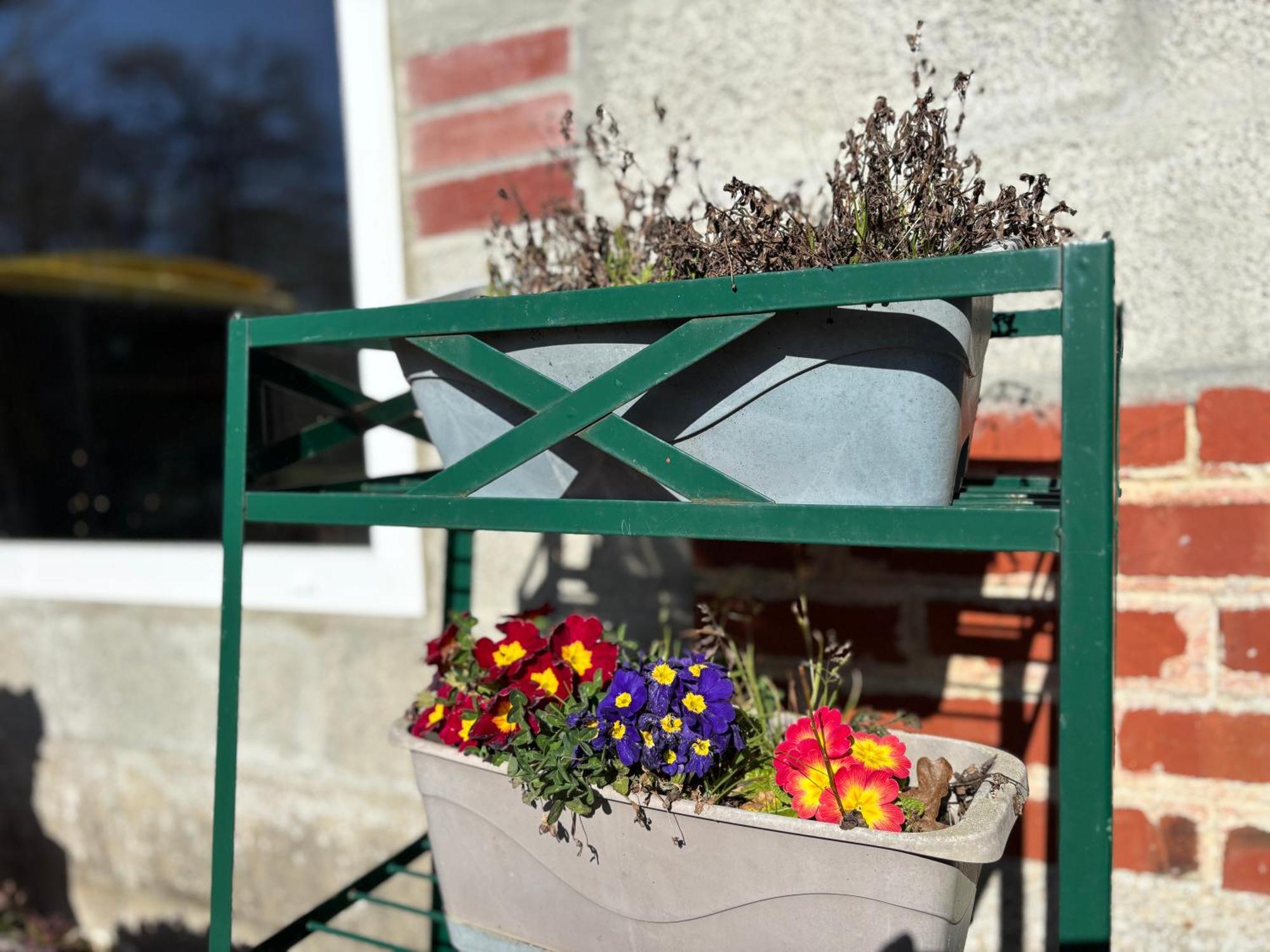 Maison De Campagne Lumineuse Spacieuse Dans Impasse Au Calme A Proximite D'Un Chateau Deux Verandas Grand Jardin Cabane Pour Velos, Pres Port En Bessin Et Bayeux, Proche Plages Du Debarquement Commes Exterior foto